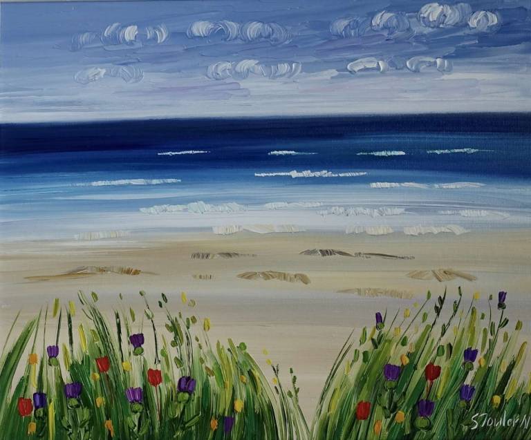 Beach and Machair Harris - Sheila Fowler