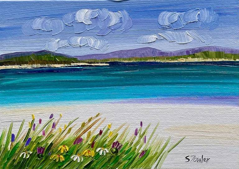 Wildflowers Luskentyre Harris - Sheila Fowler