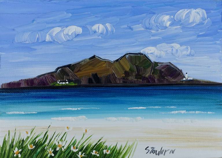 Summer Daisies at The Holy Isle  SOLD   as  Christmas Offer - Sheila Fowler