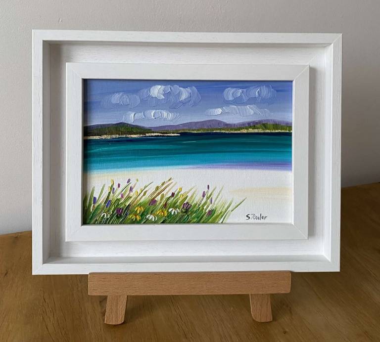 Wildflowers Luskentyre Harris  SOLD - Sheila Fowler