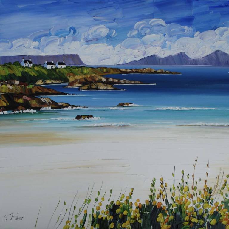 Wild Gorse Arisaig 25 x 25cm - Sheila Fowler