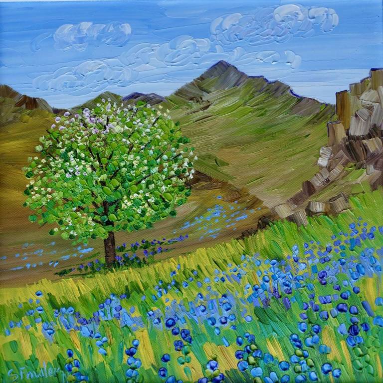 Blossom and Bluebells Rannerdale - Sheila Fowler