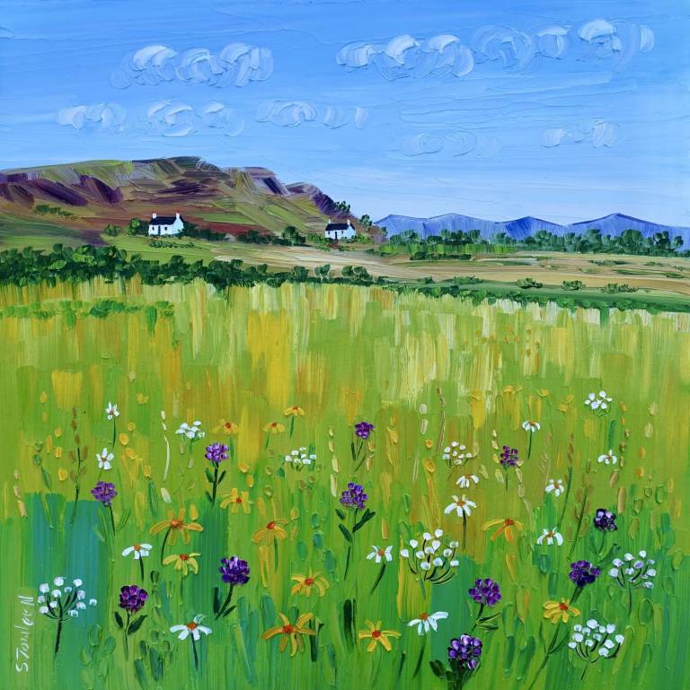 Summer Meadow - Sheila Fowler