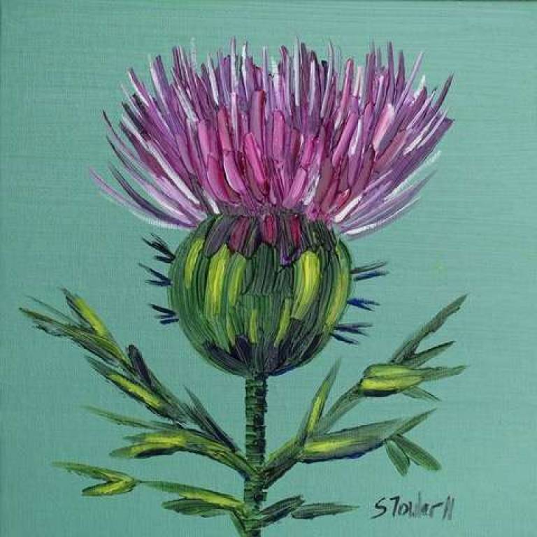 Thistle Commission - Sheila Fowler