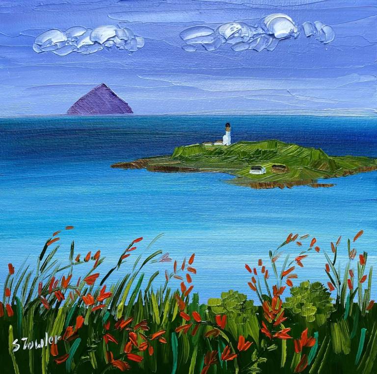 Ailsa Pladda and Kildonan Wildflowers - Sheila Fowler