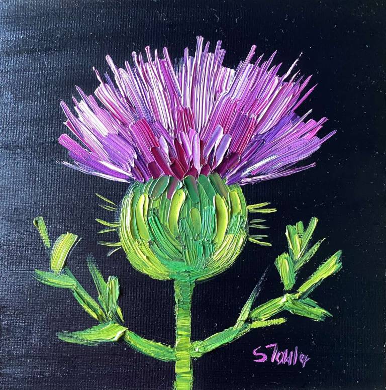 Thistle on Black - Sheila Fowler