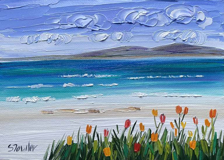 Wildflowers Isle of Harris - Sheila Fowler
