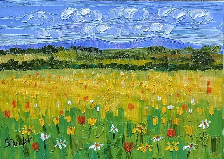 Lakeland Meadow - Sheila Fowler