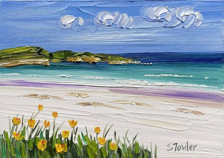 Yellow Wildflowers South Uist - Sheila Fowler