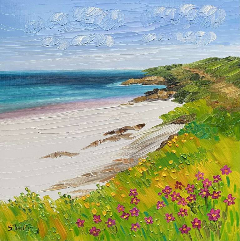 Coastal Path - Sheila Fowler