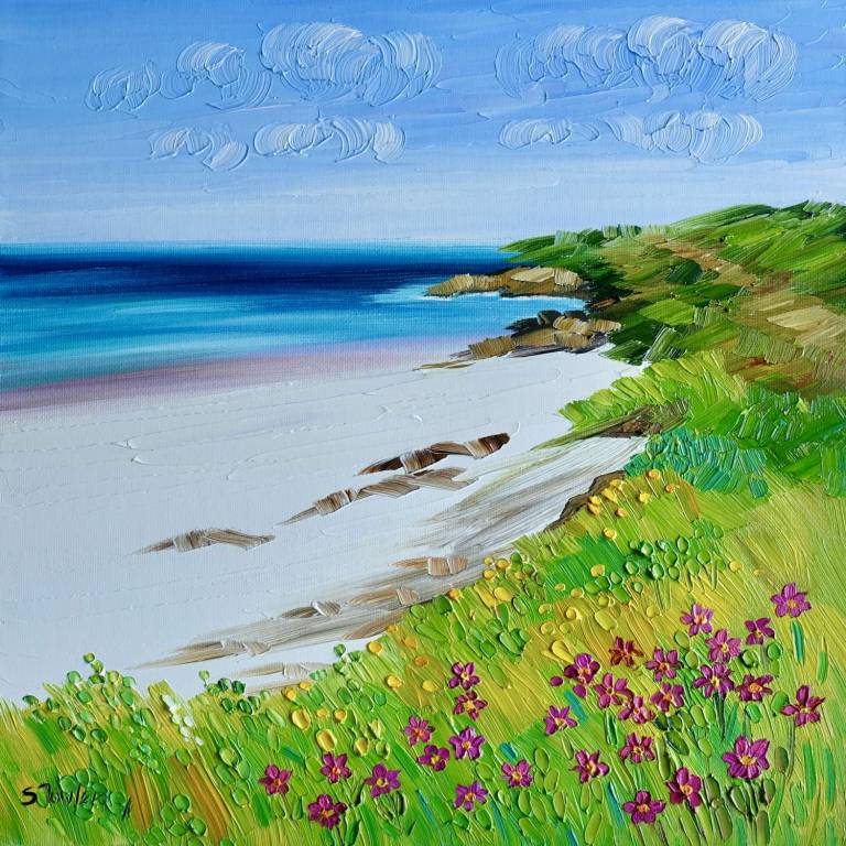Coastal Path Harris - Sheila Fowler