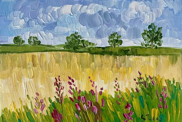 Summer Hedgerow - Sheila Fowler