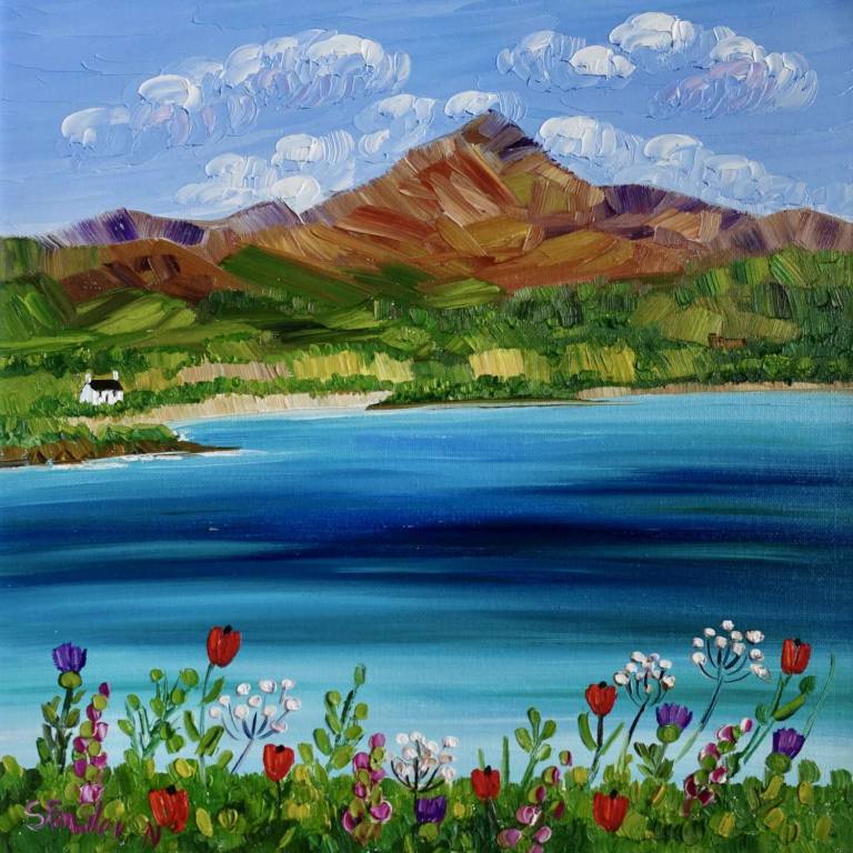 Brodick Bay Wildflowers - Sheila Fowler