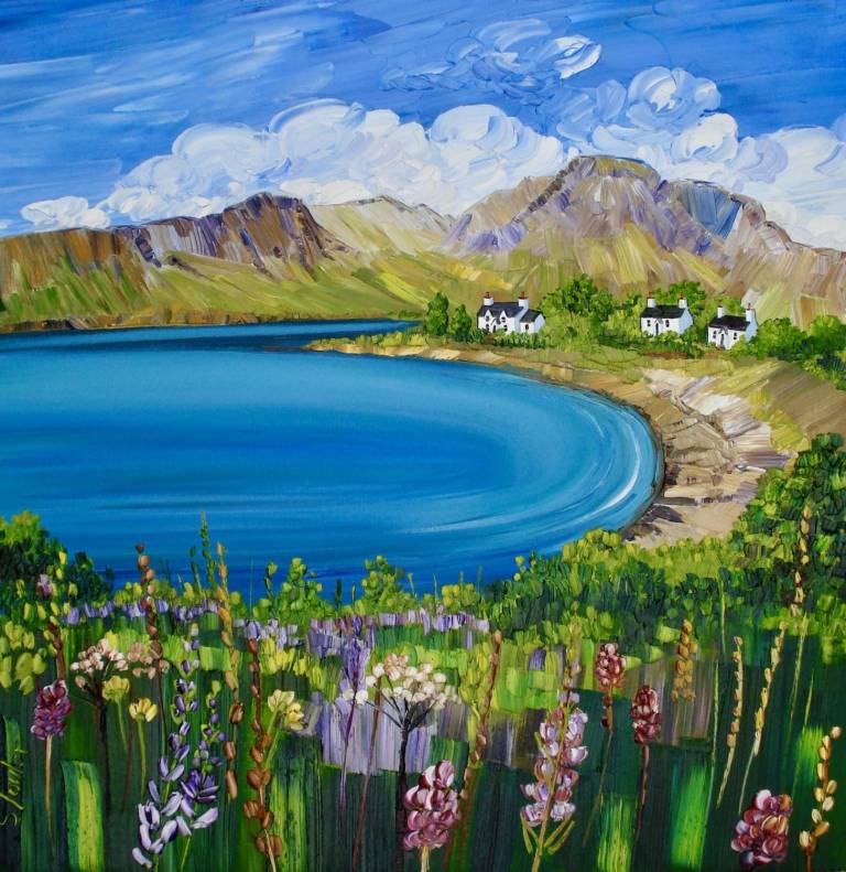 Wildflowers at Broadford, Isle of Skye - Sheila Fowler
