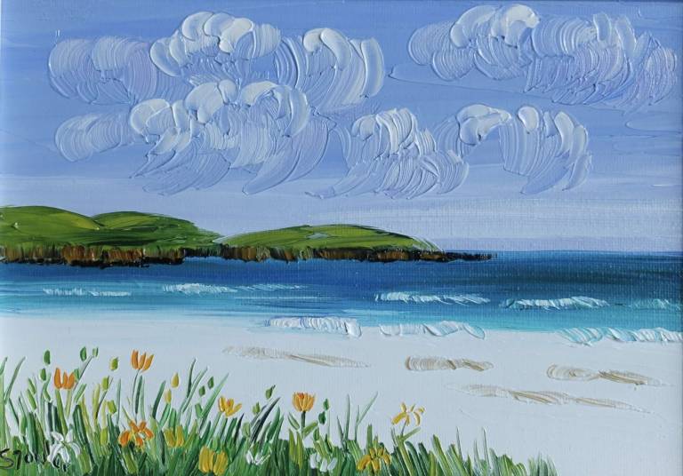 Yellow Flowers South Uist (34 x 28cm) - Sheila Fowler
