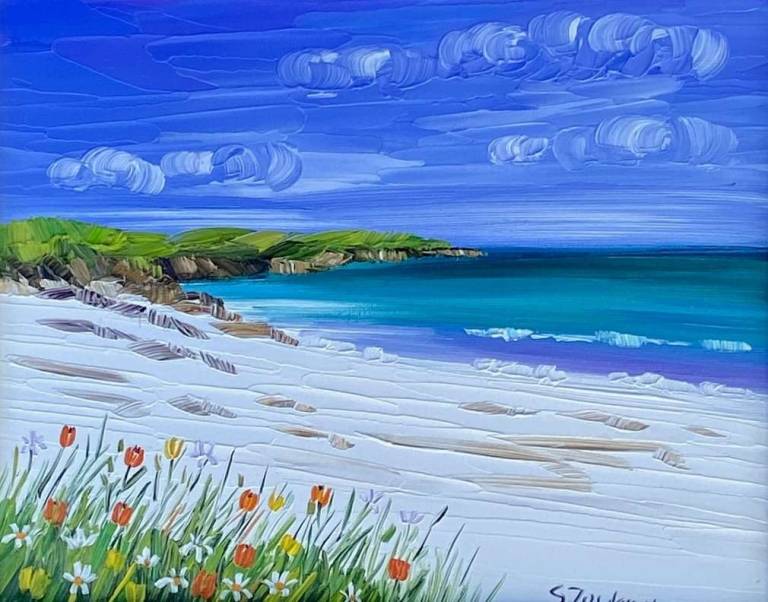 Summer Machair Isle of Harris - Sheila Fowler