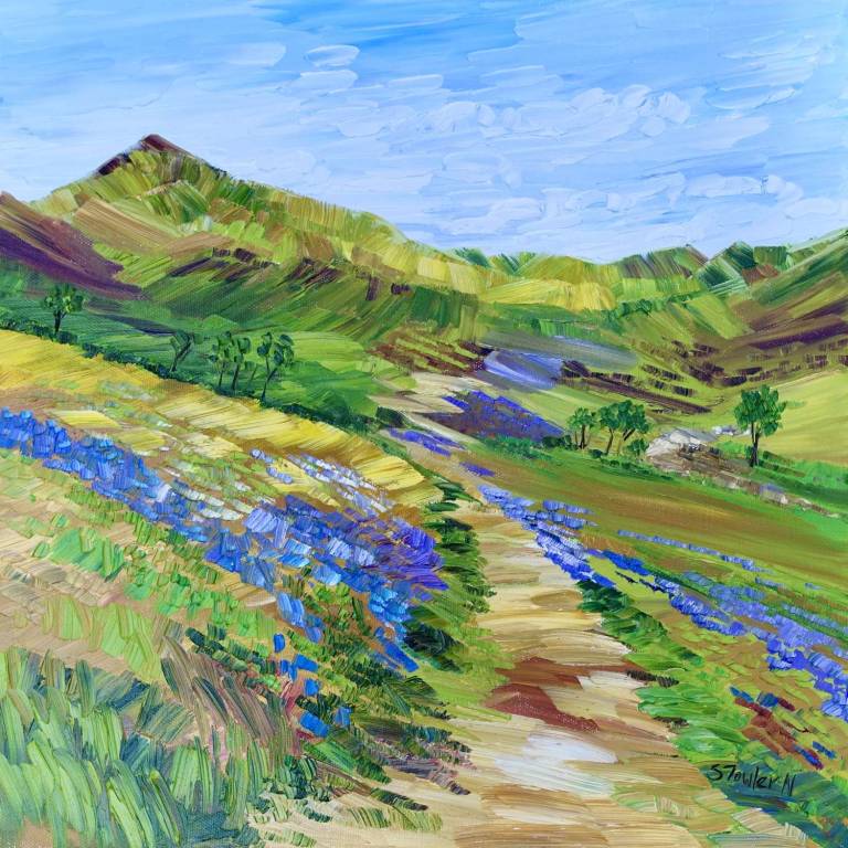 Rannerdale - Sheila Fowler