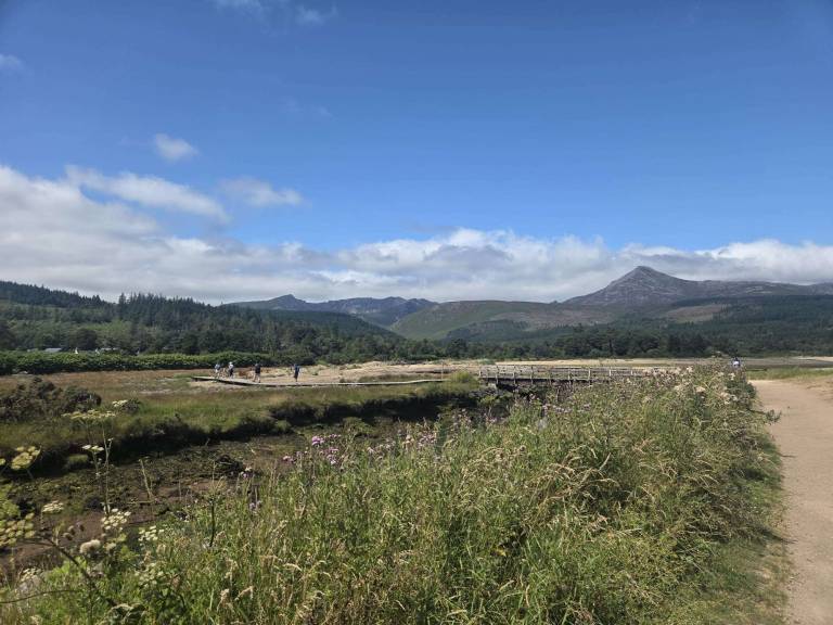 Fisherman's Walk Brodick - Sheila Fowler