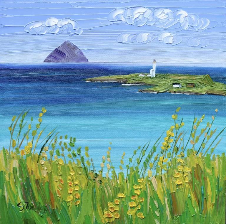 Ailsa Pladda and Yellow Wildflowers 33 x 33cm - Sheila Fowler