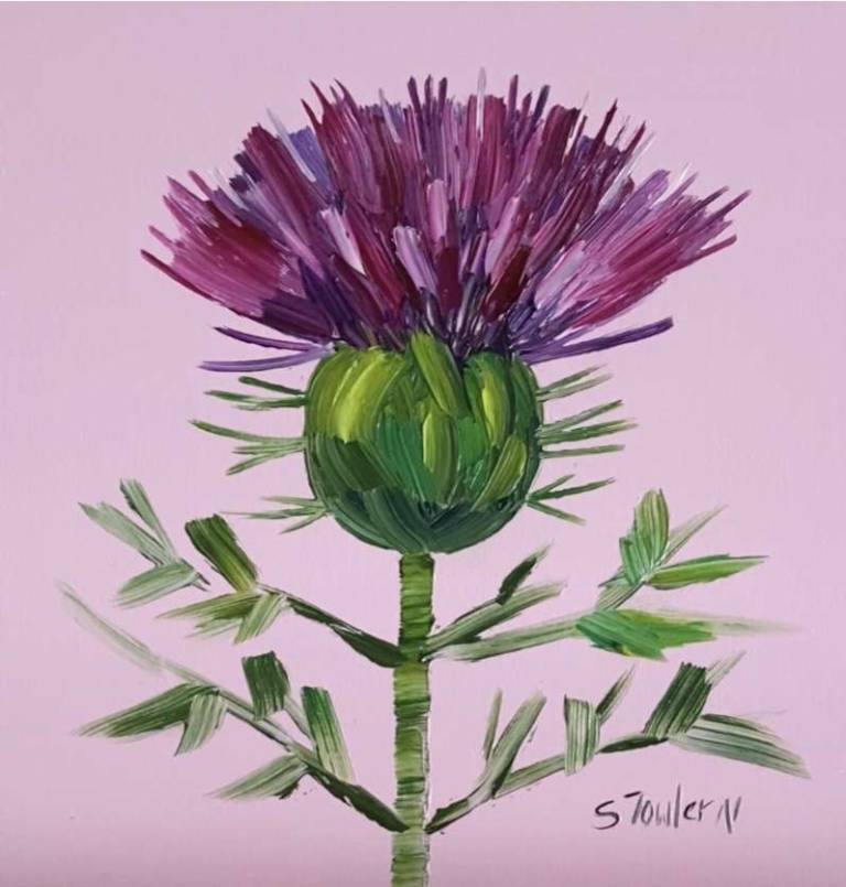 Thistle on Pink - Sheila Fowler