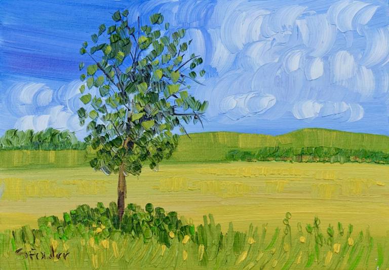 Tree and Field - Sheila Fowler