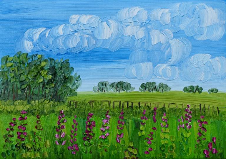 Edge of The Field - Sheila Fowler