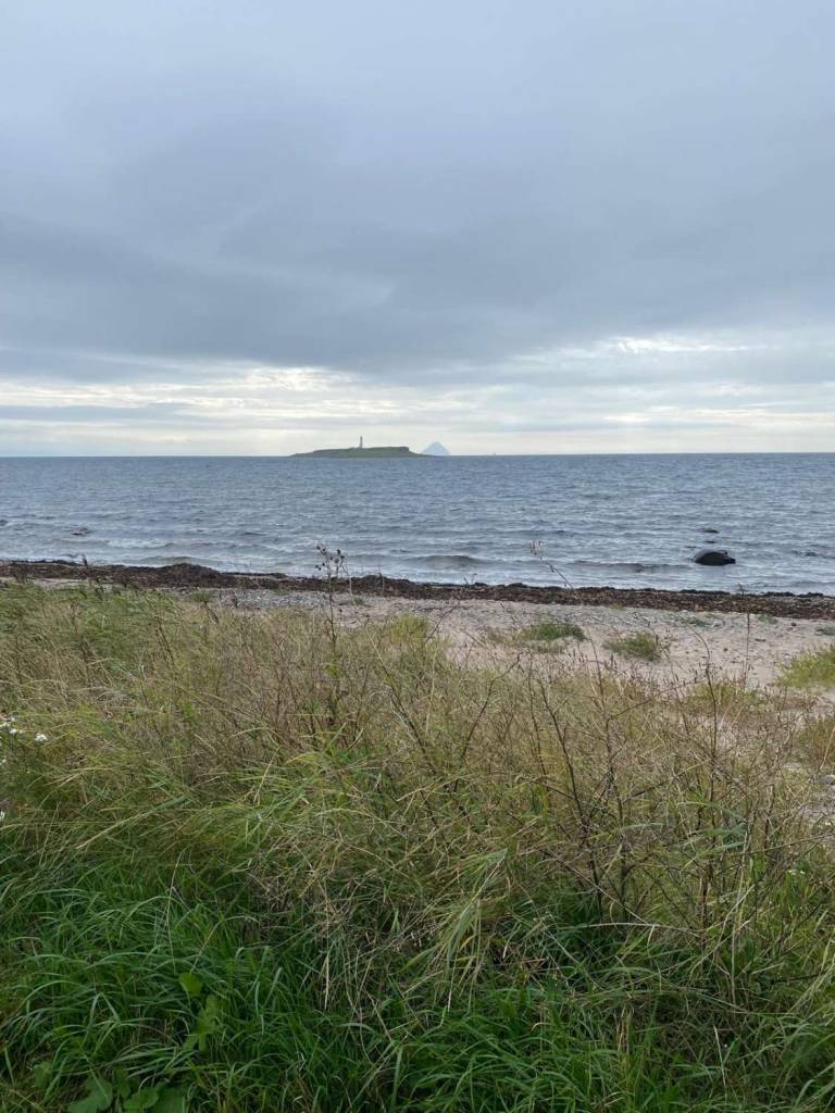 Pladda and Ailsa from Kildonan - commission - Sheila Fowler
