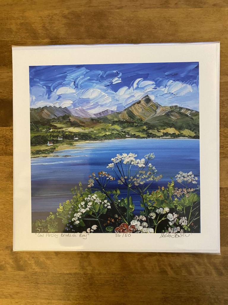 Cow Parsley Brodick Bay Arran 25 X 25cm - Sheila Fowler