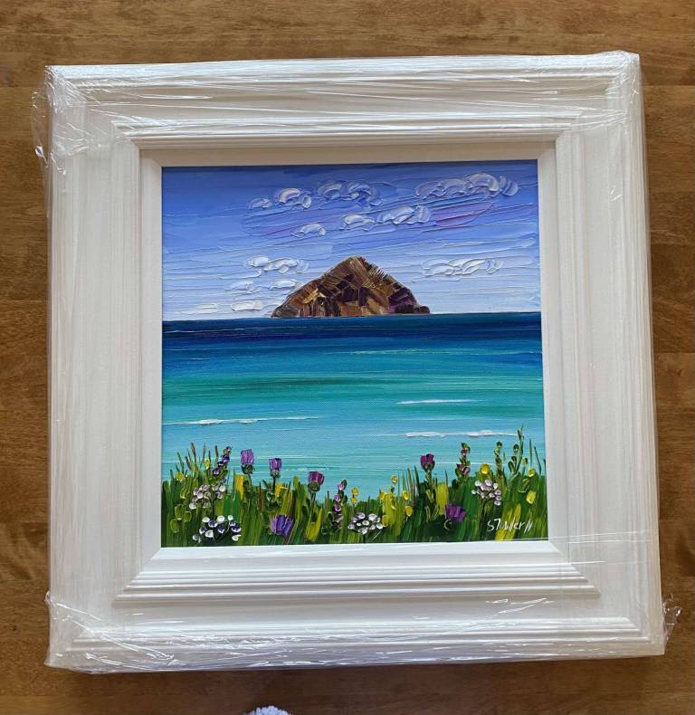 Ailsa Craig and Arran Wildflowers - Sheila Fowler