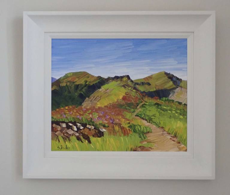Mountain Path (Hindscarth and Robinson) - Sheila Fowler
