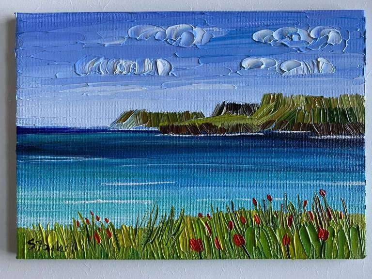 Wildflowers Calgary Bay, Mull SOLD - Sheila Fowler