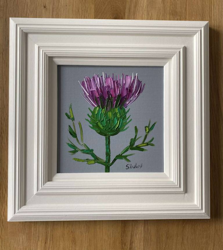 TWO THISTLE PAINTINGS  SOLD - Sheila Fowler