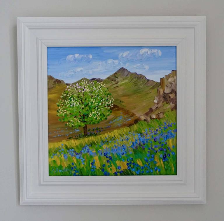 Blossom and Bluebells Rannerdale - Sheila Fowler