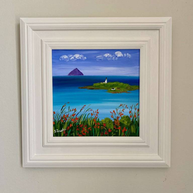 Ailsa Pladda and Kildonan Wildflowers - Sheila Fowler