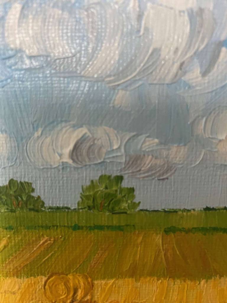 Summer Harvest (click for information) - Sheila Fowler