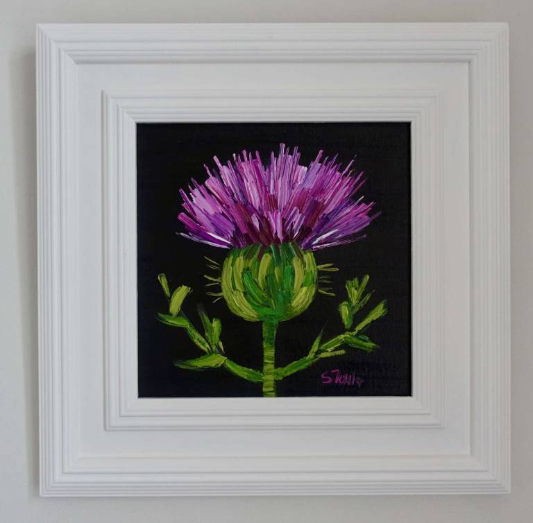 Thistle on Black - Sheila Fowler
