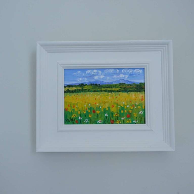 Lakeland Meadow  (27 x 22cm) - Sheila Fowler