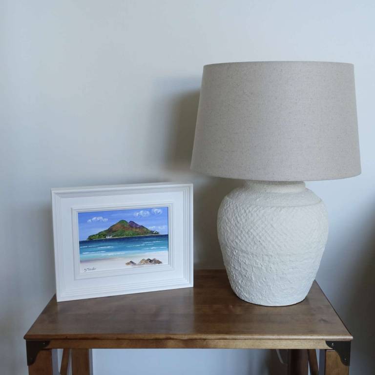 The Holy Isle Arran - Sheila Fowler