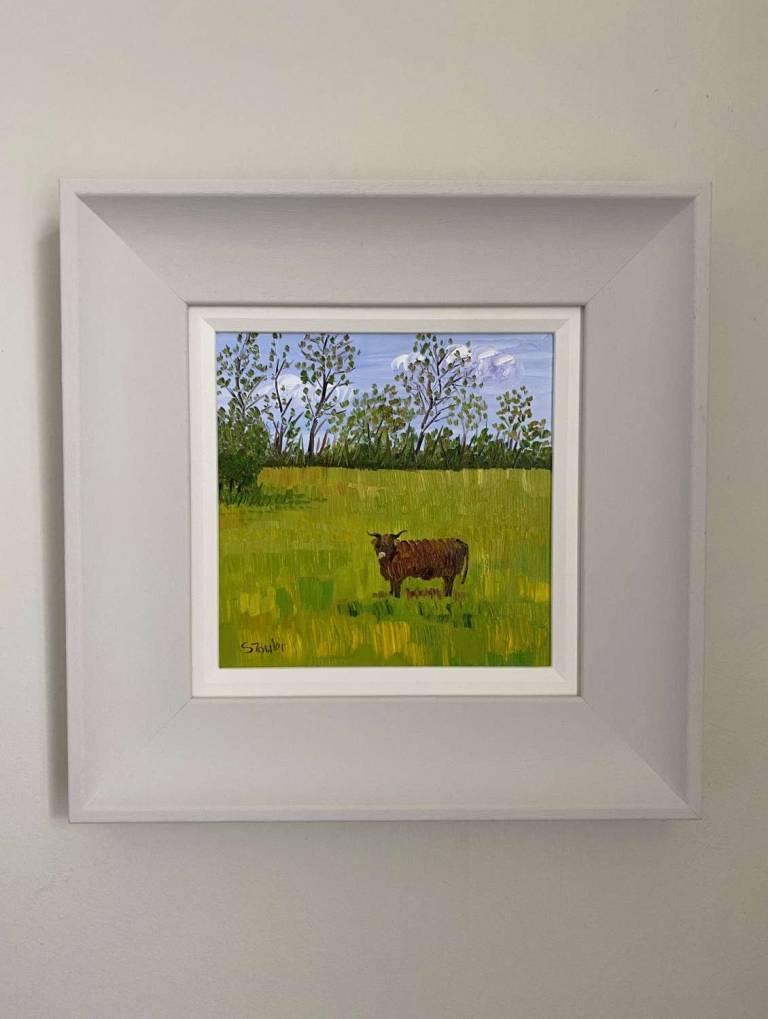 Highland Coo - Sheila Fowler