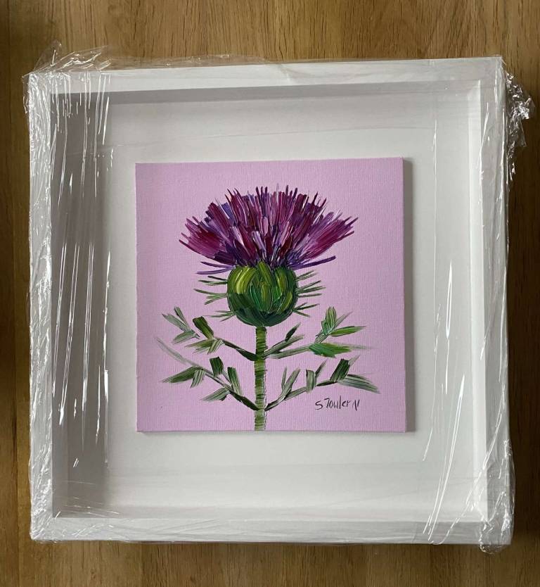 Thistle on Pink - Sheila Fowler