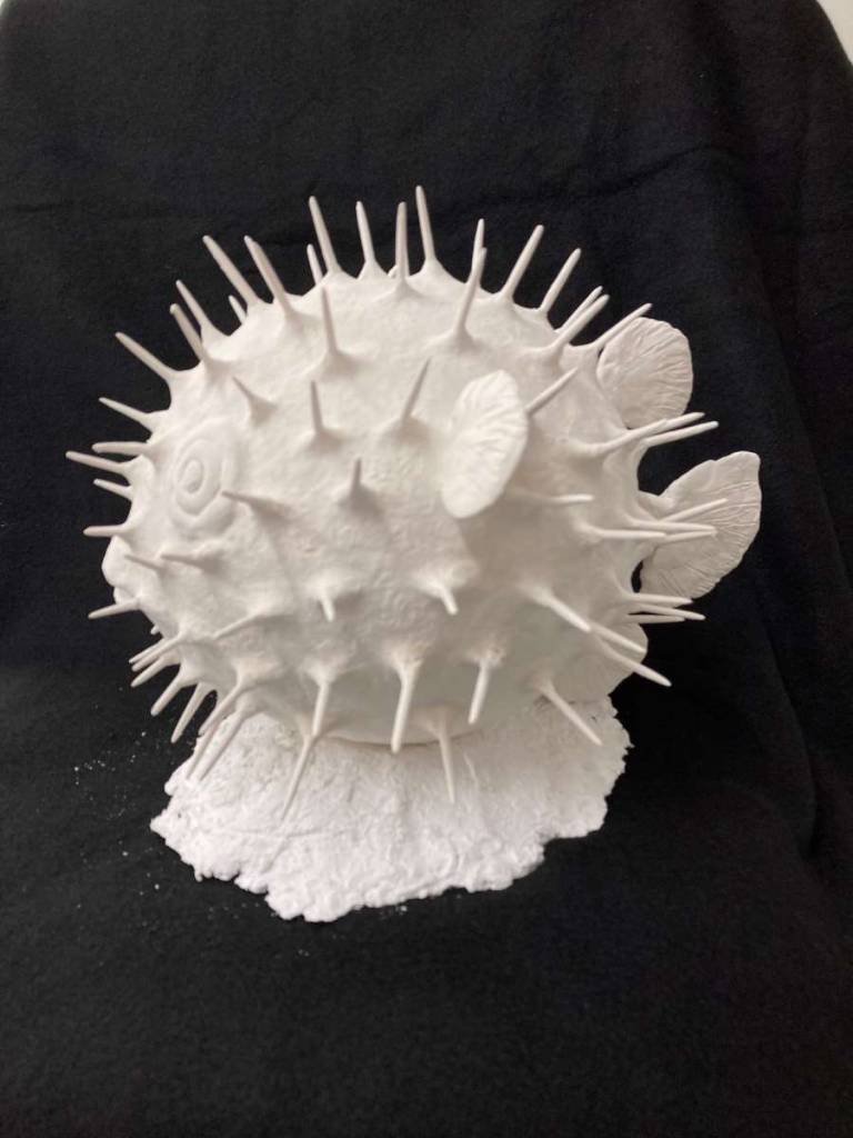 Porcupine - Maria Rogers