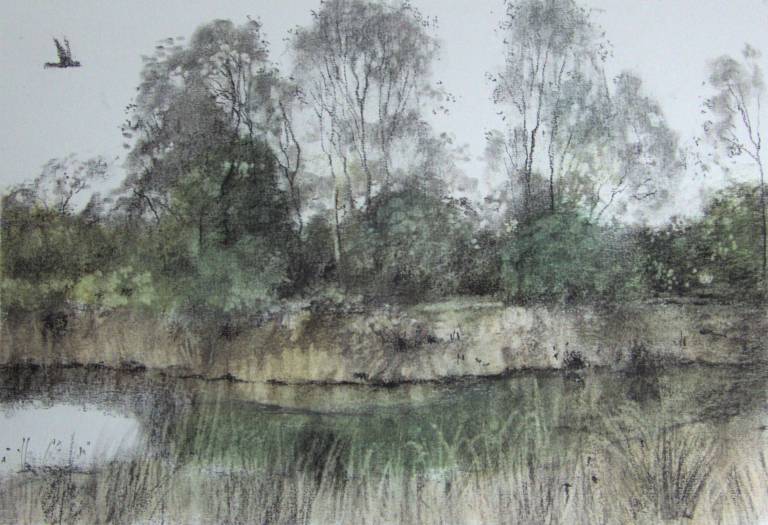 Forest Paths and Mirage Waters: Works on Paper - 