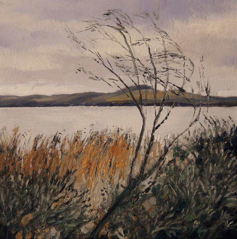 Cool Wind In the Reeds - Stella Clarke