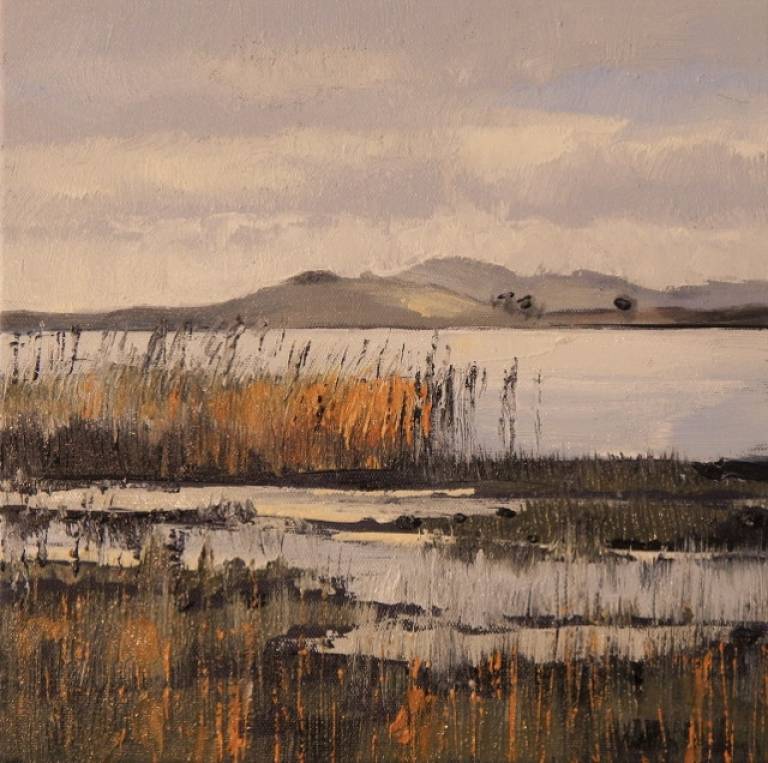 Grey Day, Bright Lake - Stella Clarke