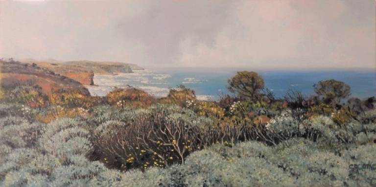 Oceanside, the Yellow Flowers II - Stella Clarke