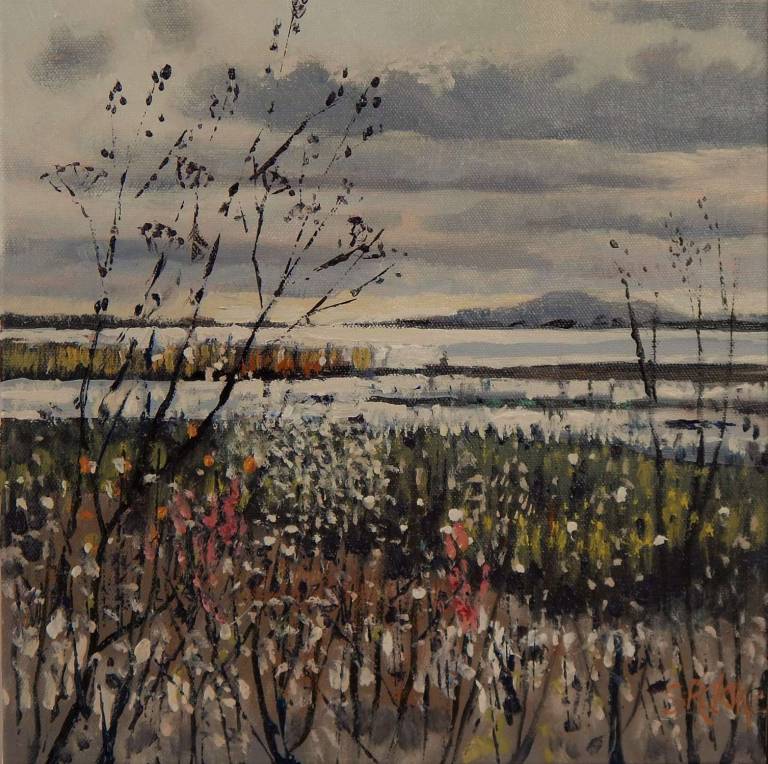 Lakeside IV: Fragile Tree - Stella Clarke