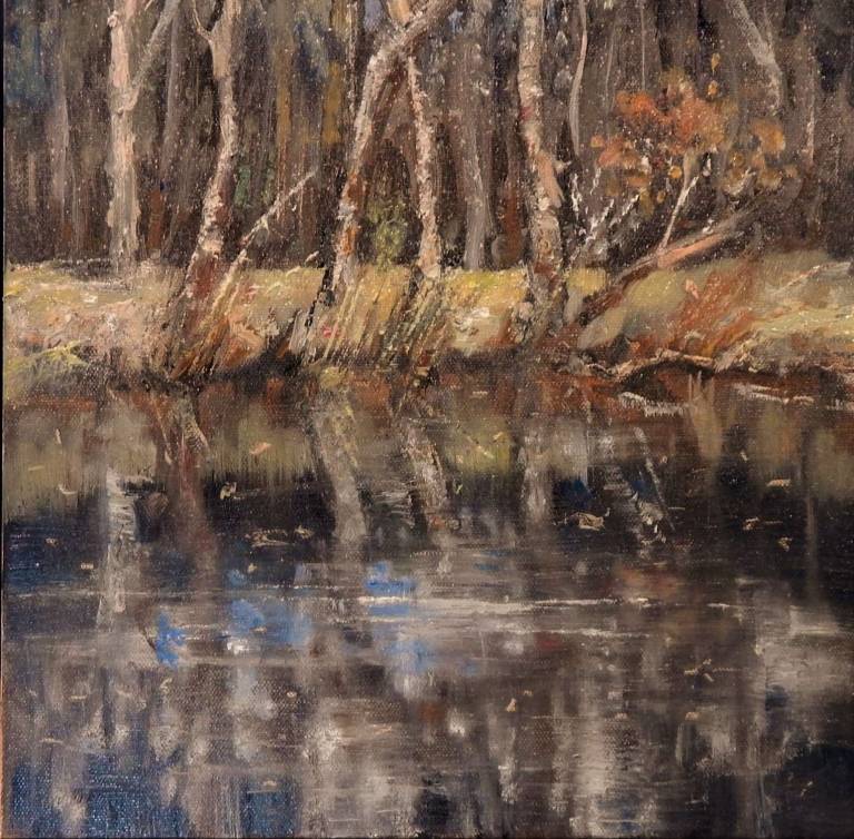 Woods and Water - Stella Clarke