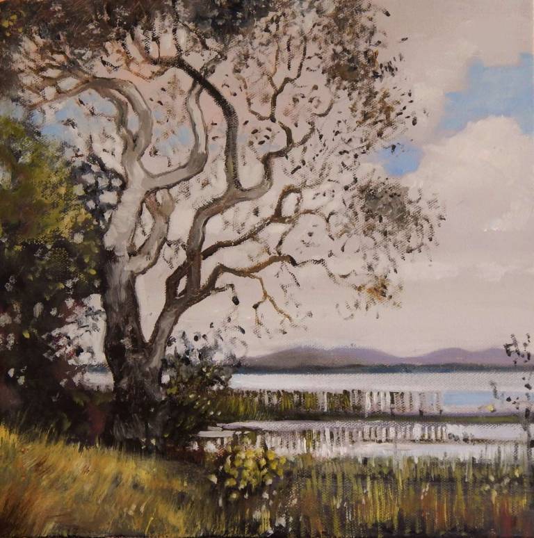 Lakeside, the Lonely Tree I - Stella Clarke
