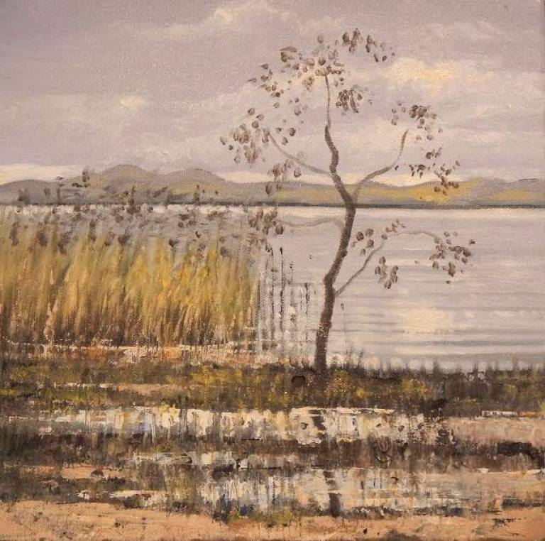 Little Lakeside Tree - Stella Clarke