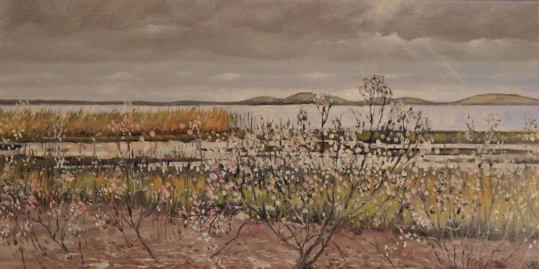 Wetlands, Floating Flowers II - Stella Clarke